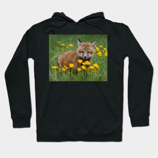 Fox Kit with Yellow Flowers Hoodie